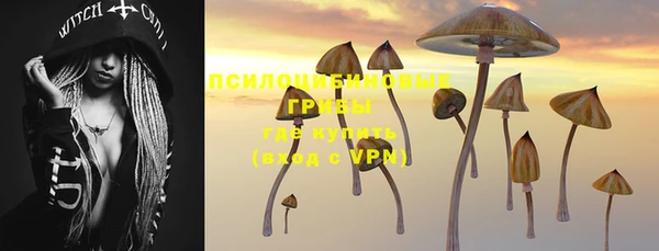 прущие крисы Абдулино