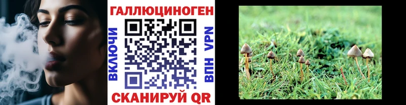 Псилоцибиновые грибы мицелий  Нахабино 